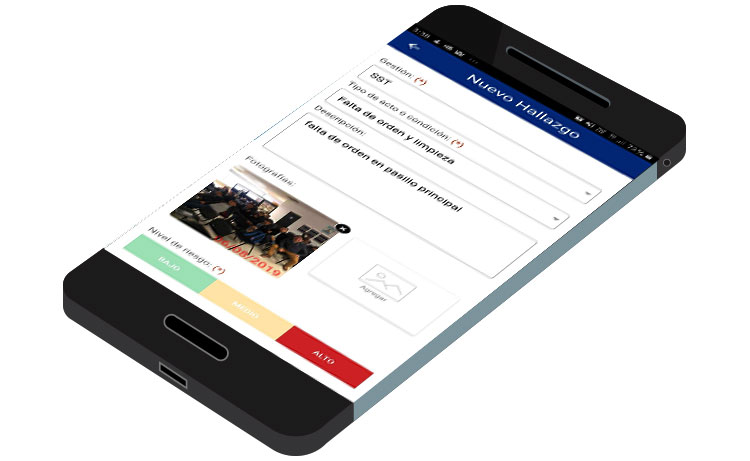 PDI Inspecciones HSE